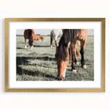 Farmhouse Wall Art: Horses Grazing in Field - Rustic Country Decor