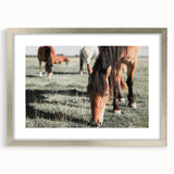 Farmhouse Wall Art: Horses Grazing in Field - Rustic Country Decor