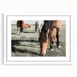 Farmhouse Wall Art: Horses Grazing in Field - Rustic Country Decor