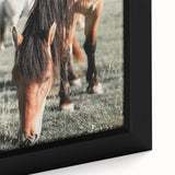 Farmhouse Wall Art: Horses Grazing in Field - Rustic Country Decor