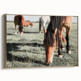 Farmhouse Wall Art: Horses Grazing in Field - Rustic Country Decor