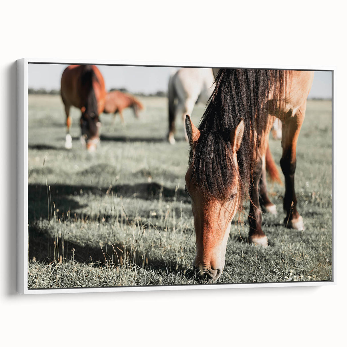 Farmhouse Wall Art: Horses Grazing in Field - Rustic Country Decor