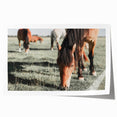 Farmhouse Wall Art: Horses Grazing in Field - Rustic Country Decor
