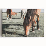 Farmhouse Wall Art: Horses Grazing in Field - Rustic Country Decor