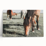 Farmhouse Wall Art: Horses Grazing in Field - Rustic Country Decor