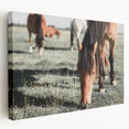 Farmhouse Wall Art: Horses Grazing in Field - Rustic Country Decor