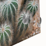 Green Cactus Cluster Farmhouse Wall Art – Rustic Country Decor Print