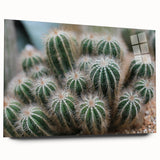 Green Cactus Cluster Farmhouse Wall Art – Rustic Country Decor Print