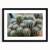 Green Cactus Cluster Farmhouse Wall Art – Rustic Country Decor Print