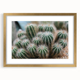 Green Cactus Cluster Farmhouse Wall Art – Rustic Country Decor Print