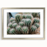 Green Cactus Cluster Farmhouse Wall Art – Rustic Country Decor Print