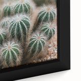 Green Cactus Cluster Farmhouse Wall Art – Rustic Country Decor Print