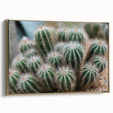 Green Cactus Cluster Farmhouse Wall Art – Rustic Country Decor Print