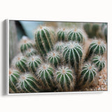 Green Cactus Cluster Farmhouse Wall Art – Rustic Country Decor Print