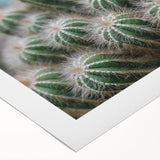 Green Cactus Cluster Farmhouse Wall Art – Rustic Country Decor Print