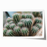 Green Cactus Cluster Farmhouse Wall Art – Rustic Country Decor Print
