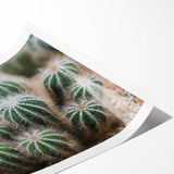 Green Cactus Cluster Farmhouse Wall Art – Rustic Country Decor Print