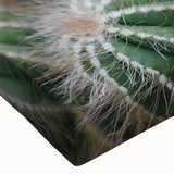 Green Cactus Cluster Farmhouse Wall Art – Rustic Country Decor Print