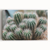 Green Cactus Cluster Farmhouse Wall Art – Rustic Country Decor Print