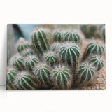 Green Cactus Cluster Farmhouse Wall Art – Rustic Country Decor Print