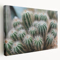 Green Cactus Cluster Farmhouse Wall Art – Rustic Country Decor Print