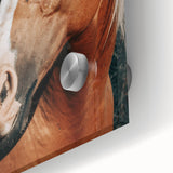 Farmhouse Wall Art - Blonde Horse Portrait Rustic Country Style Decor