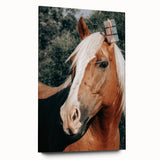 Farmhouse Wall Art - Blonde Horse Portrait Rustic Country Style Decor