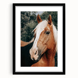 Farmhouse Wall Art - Blonde Horse Portrait Rustic Country Style Decor