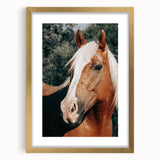 Farmhouse Wall Art - Blonde Horse Portrait Rustic Country Style Decor