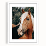 Farmhouse Wall Art - Blonde Horse Portrait Rustic Country Style Decor