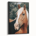 Farmhouse Wall Art - Blonde Horse Portrait Rustic Country Style Decor