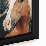 Farmhouse Wall Art - Blonde Horse Portrait Rustic Country Style Decor