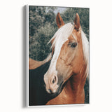 Farmhouse Wall Art - Blonde Horse Portrait Rustic Country Style Decor