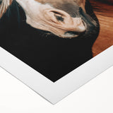 Farmhouse Wall Art - Blonde Horse Portrait Rustic Country Style Decor