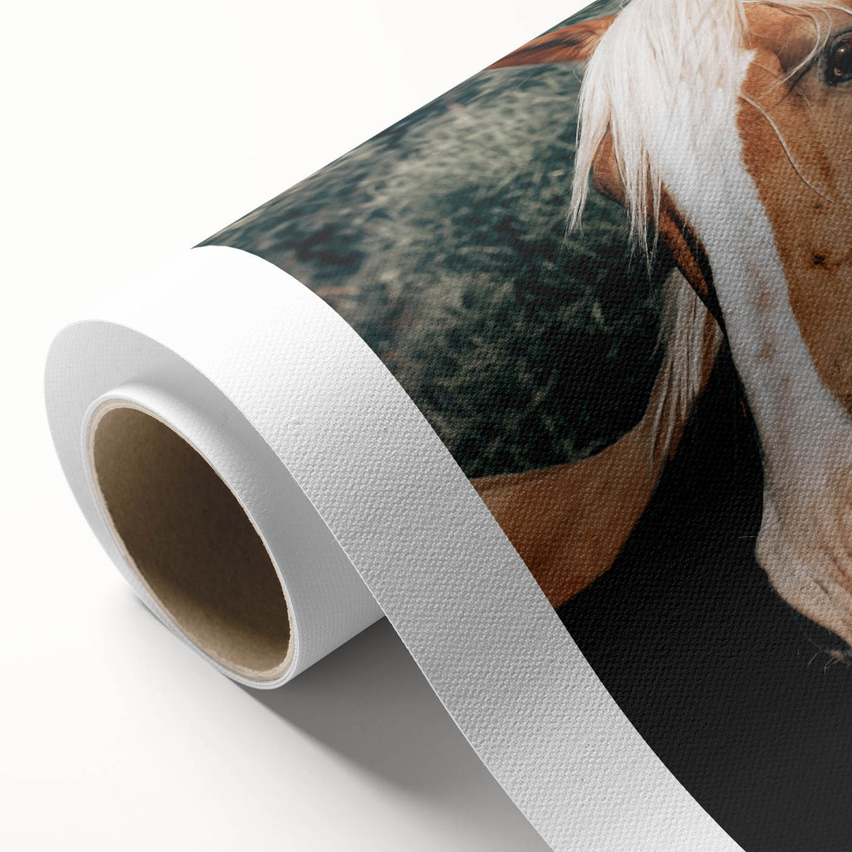 Farmhouse Wall Art - Blonde Horse Portrait Rustic Country Style Decor