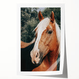 Farmhouse Wall Art - Blonde Horse Portrait Rustic Country Style Decor