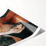 Farmhouse Wall Art - Blonde Horse Portrait Rustic Country Style Decor