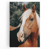 Farmhouse Wall Art - Blonde Horse Portrait Rustic Country Style Decor