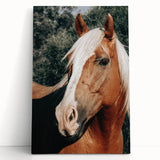 Farmhouse Wall Art - Blonde Horse Portrait Rustic Country Style Decor