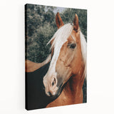 Farmhouse Wall Art - Blonde Horse Portrait Rustic Country Style Decor