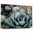 Agave Plant Farmhouse Wall Art – Rustic Country Style Decor Print