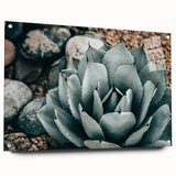 Agave Plant Farmhouse Wall Art – Rustic Country Style Decor Print