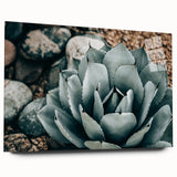 Agave Plant Farmhouse Wall Art – Rustic Country Style Decor Print
