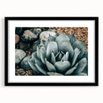Agave Plant Farmhouse Wall Art – Rustic Country Style Decor Print