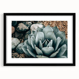 Agave Plant Farmhouse Wall Art – Rustic Country Style Decor Print