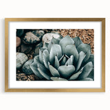 Agave Plant Farmhouse Wall Art – Rustic Country Style Decor Print