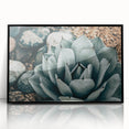 Agave Plant Farmhouse Wall Art – Rustic Country Style Decor Print