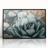Agave Plant Farmhouse Wall Art – Rustic Country Style Decor Print