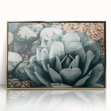 Agave Plant Farmhouse Wall Art – Rustic Country Style Decor Print