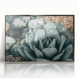 Agave Plant Farmhouse Wall Art – Rustic Country Style Decor Print